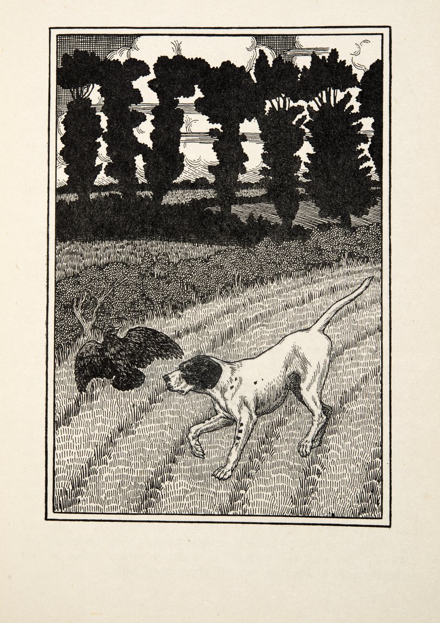 Deceiving the Fowler, fra A Hundred Anecdotes of Animals, pub. 1924 av Percy J. Billingshurst
