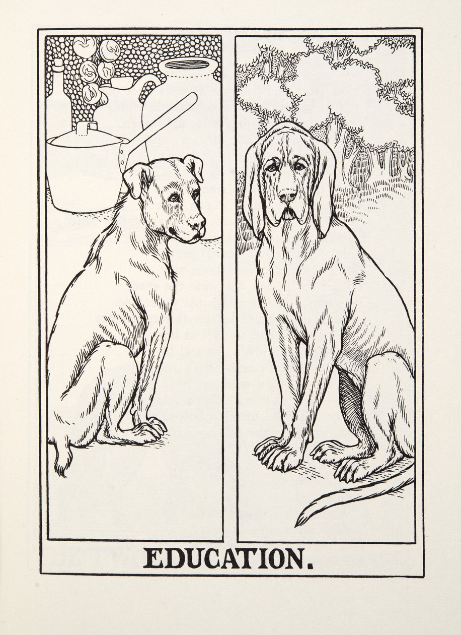 Education, fra Fontaine Fables, pub. 1905 av Percy J. Billingshurst