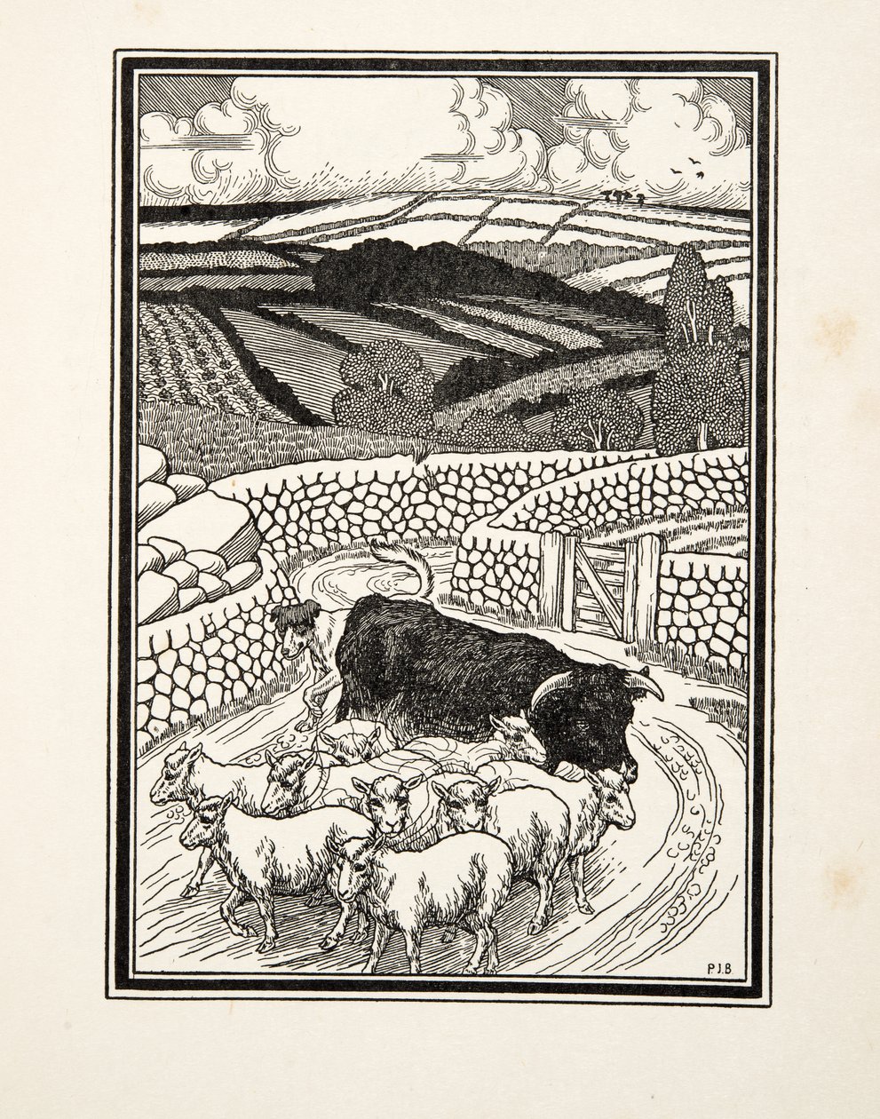 Going to Market, fra A Hundred Anecdotes of Animals, pub. 1924 av Percy J. Billingshurst