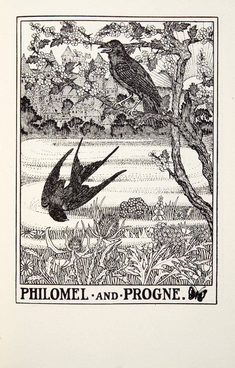 Philomel og Progne, fra Fontaine Fables, pub. 1905 av Percy J. Billingshurst