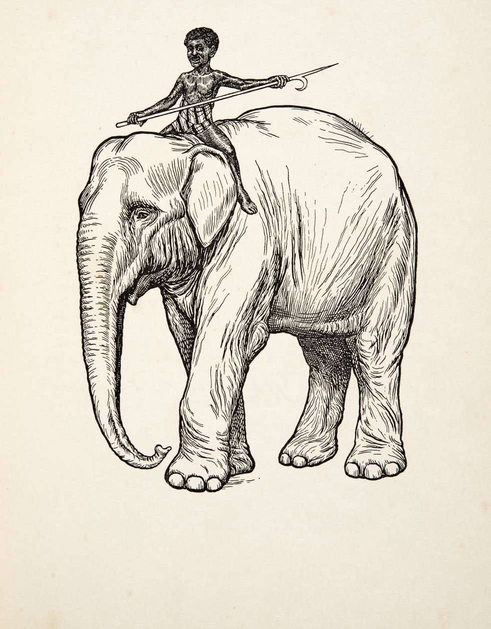 Remorse, fra A Hundred Anecdotes of Animals, pub. 1924 av Percy J. Billingshurst