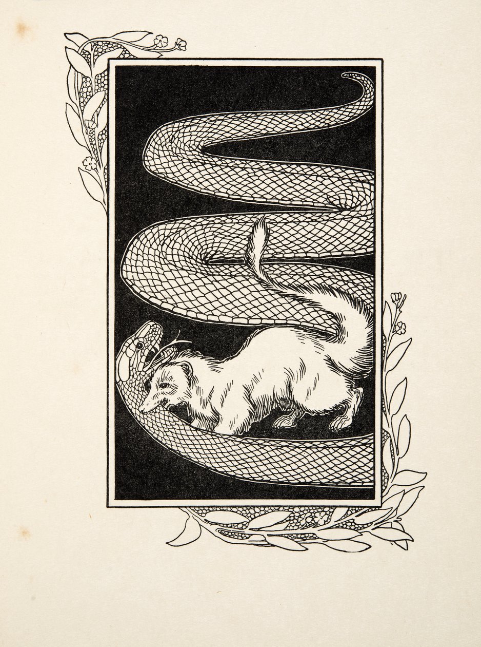 Snake Destroyers, fra A Hundred Anecdotes of Animals, pub. 1924 (gravering) av Percy J. Billingshurst