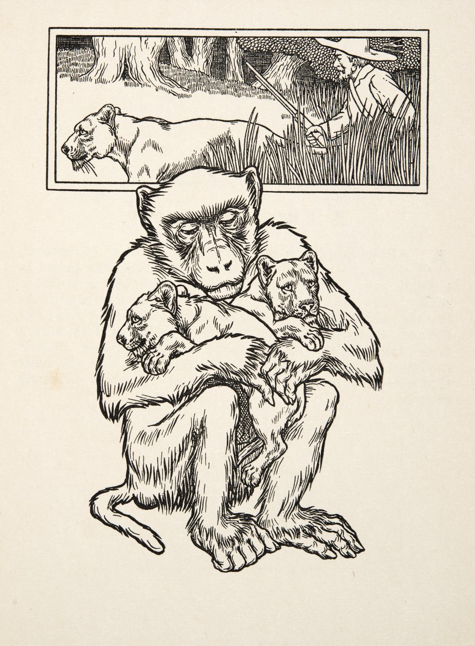 Soliciting Succour, fra A Hundred Anecdotes of Animals, pub. 1924 (gravering) av Percy J. Billingshurst