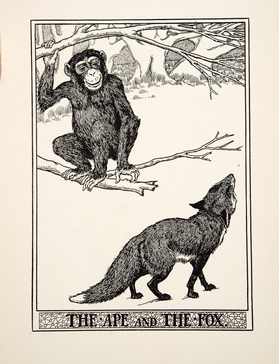 The Ape and the Fox, fra A Hundred Fables of Aesop, pub.1903 (gravering) av Percy J. Billingshurst