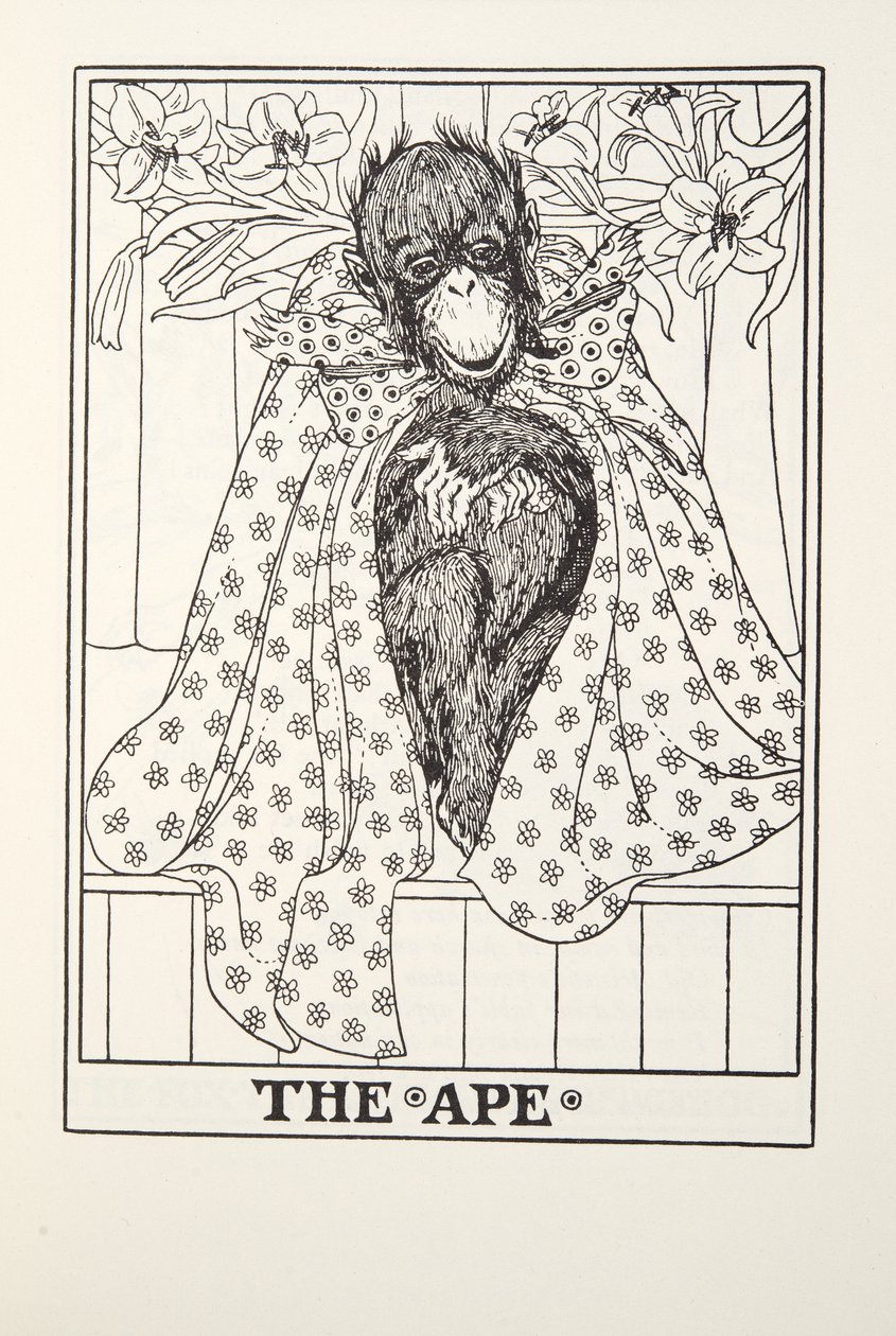 The Ape, fra Fontaine Fables, pub. 1905 av Percy J. Billingshurst