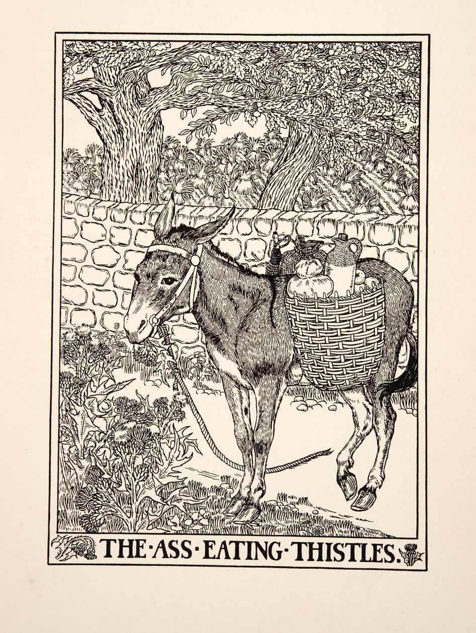 The Ass eating Thistles, fra A Hundred Fables of Aesop, pub.1903 av Percy J. Billingshurst