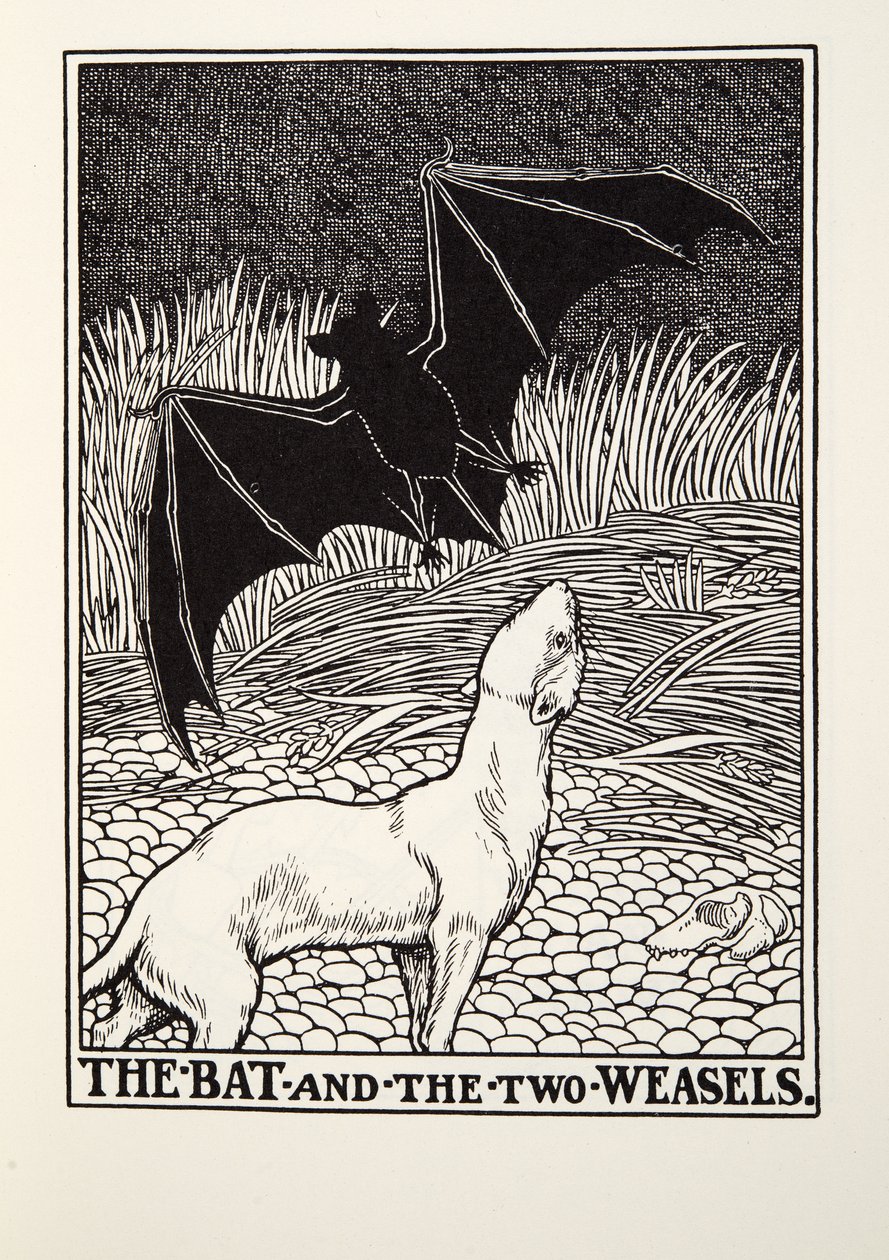 The Bat and the Two Weasels, fra Fontaine Fables, pub. 1905 av Percy J. Billingshurst