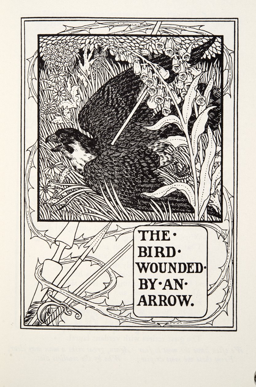 The Bird Wounded by an Arrow, fra Fontaine Fables, pub. 1905 av Percy J. Billingshurst