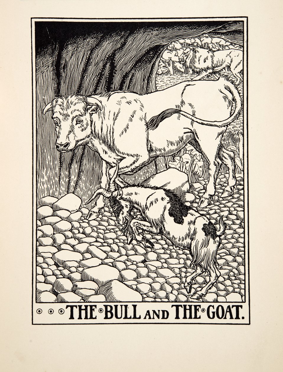 The Bull and the Goat, fra A Hundred Fables of Aesop, pub.1903 (gravering) av Percy J. Billingshurst