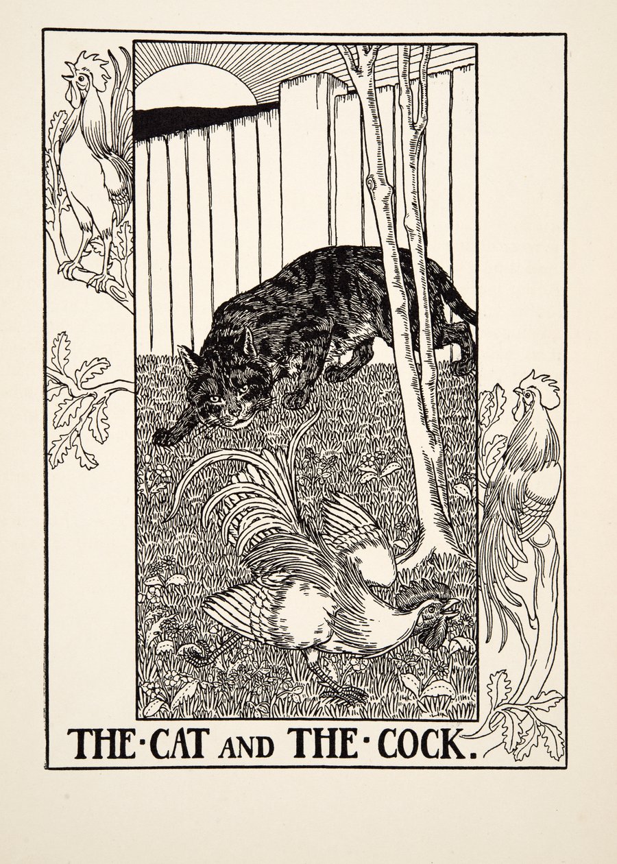 The Cat and the Cock, fra A Hundred Fables of Aesop, pub.1903 av Percy J. Billingshurst