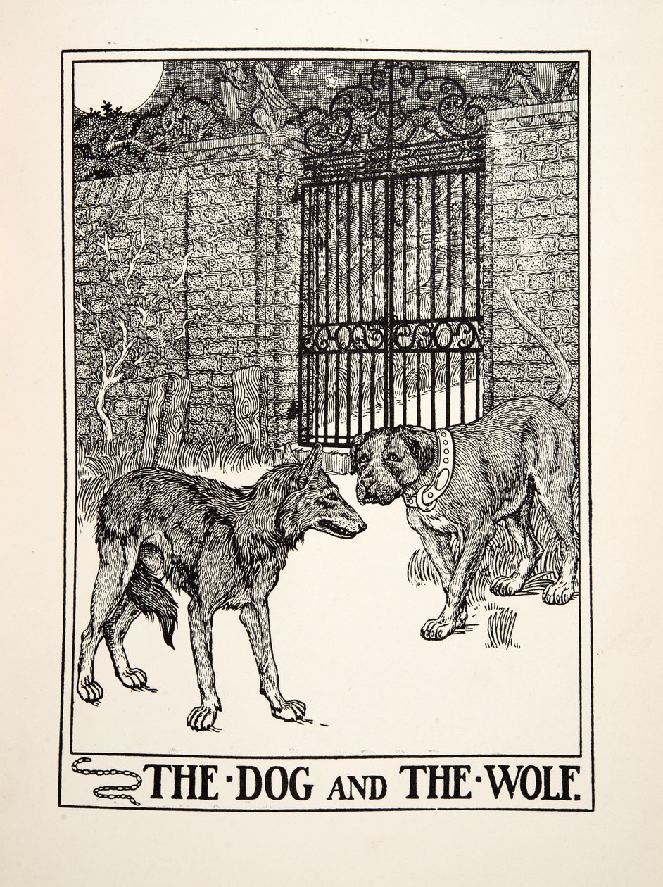 The Dog and the Wolf, fra A Hundred Fables of Aesop, pub.1903 (gravering) av Percy J. Billingshurst