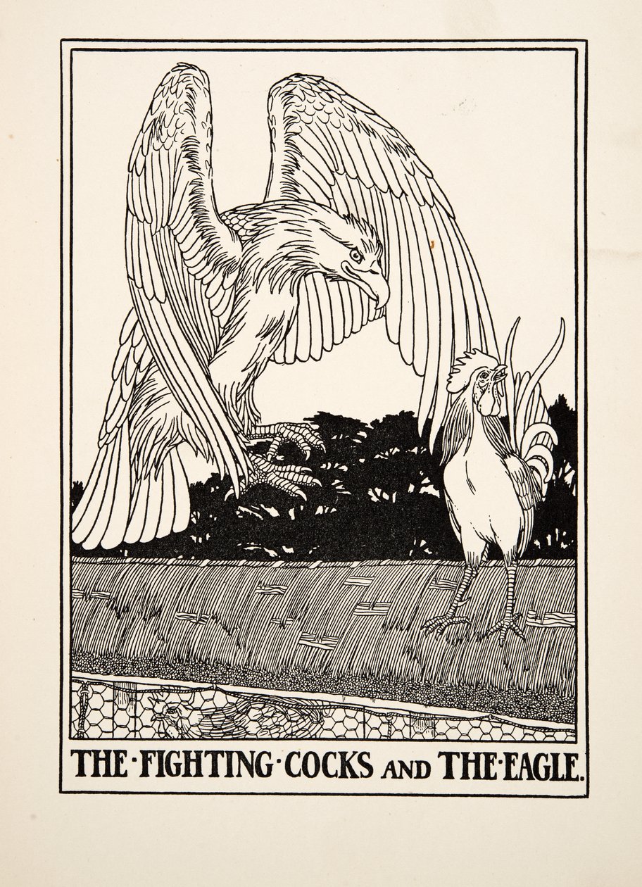 The Fighting Cocks and the Eagle, fra A Hundred Fables of Aesop, pub.1903 av Percy J. Billingshurst
