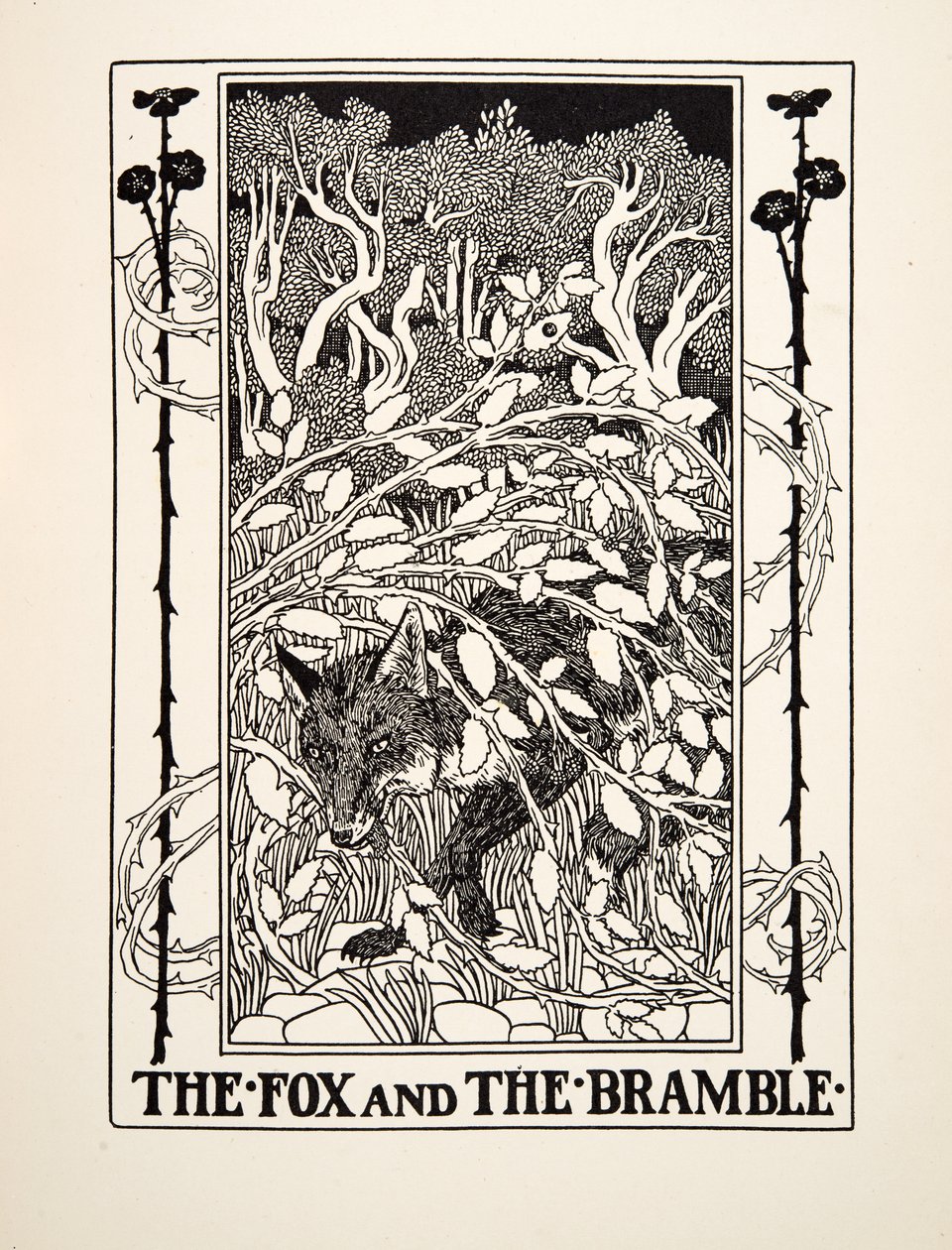 The Fox and the Bramble, fra A Hundred Fables of Aesop, pub.1903 av Percy J. Billingshurst