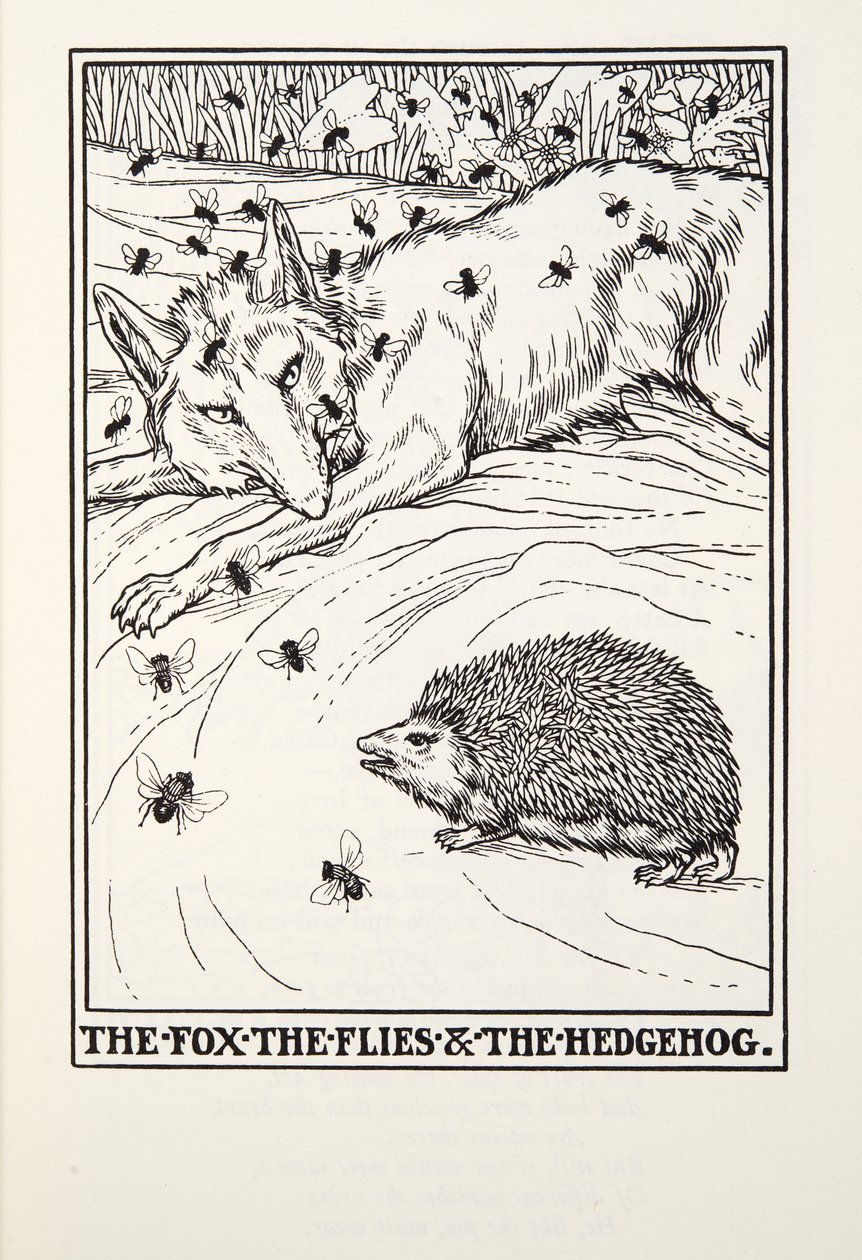 The Fox, the Flies and the Hedgehog, fra Fontaine Fables, pub. 1905 av Percy J. Billingshurst