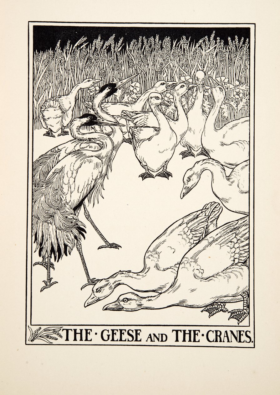 The Geese and the Cranes, fra A Hundred Fables of Aesop, pub.1903 av Percy J. Billingshurst