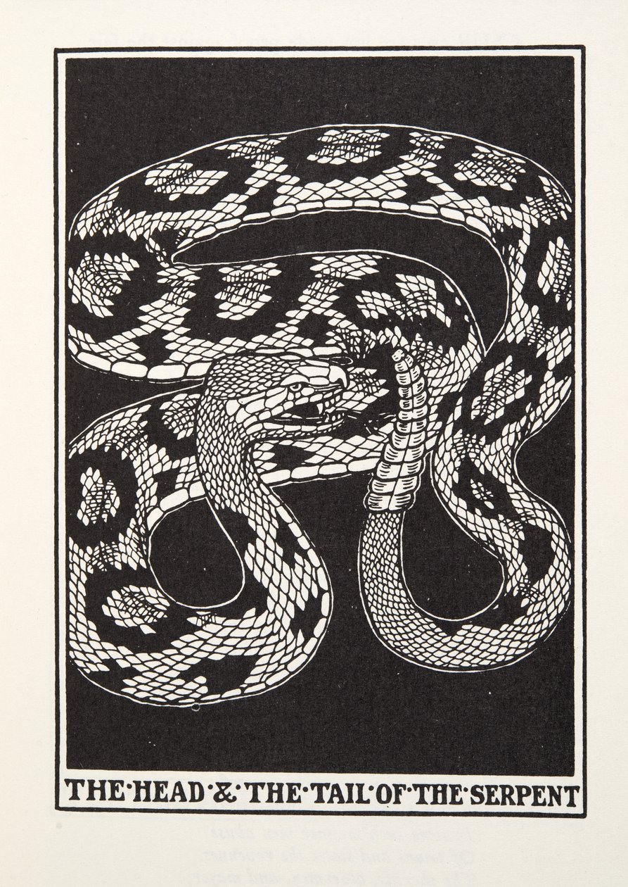 The Head and Tail of the Serpent, fra Fontaine Fables, pub. 1905 (gravering) av Percy J. Billingshurst