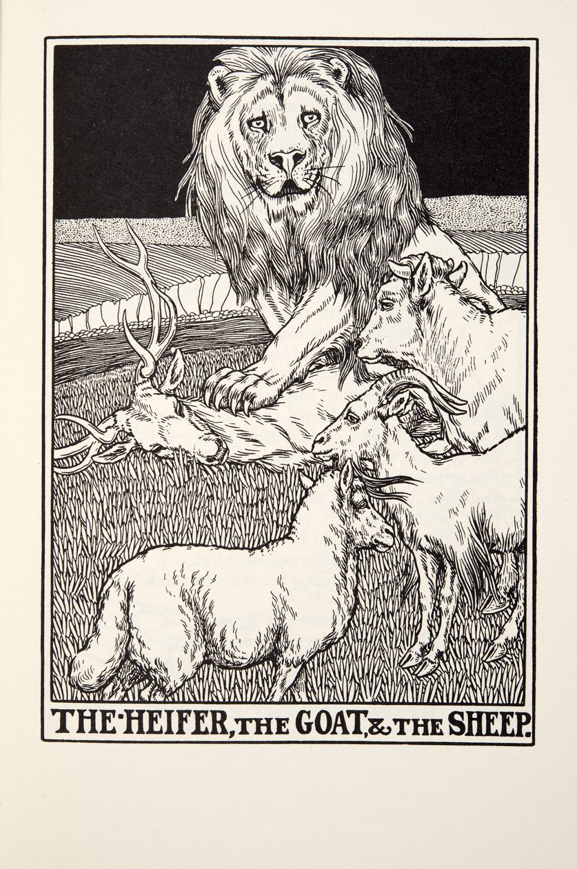 The Heifer, the Goat and the Sheep, fra Fontaine Fables, pub. 1905 av Percy J. Billingshurst