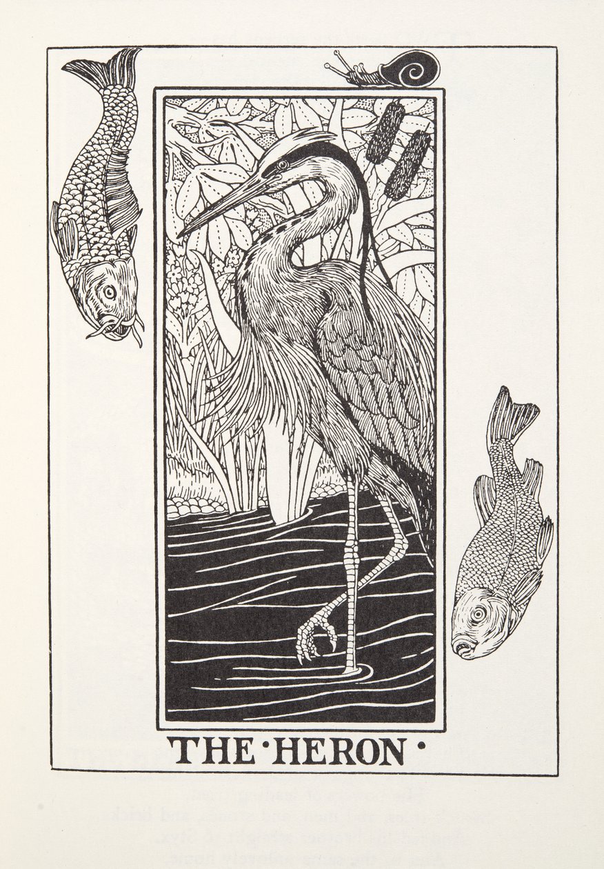 The Heron, fra Fontaine Fables, pub. 1905 (gravering) av Percy J. Billingshurst
