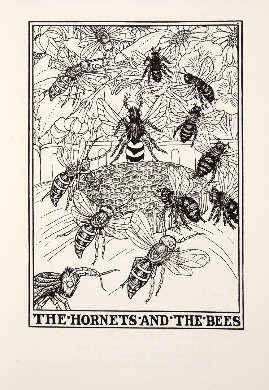 The Hornets and the Bees, fra Fontaine Fables, pub. 1905 (gravering) av Percy J. Billingshurst