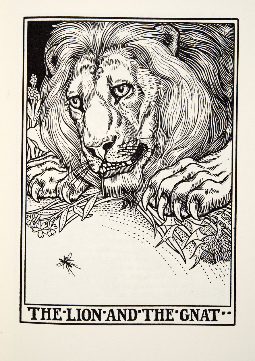 The Lion and the Gnat, fra Fontaine Fables, pub. 1905 av Percy J. Billingshurst