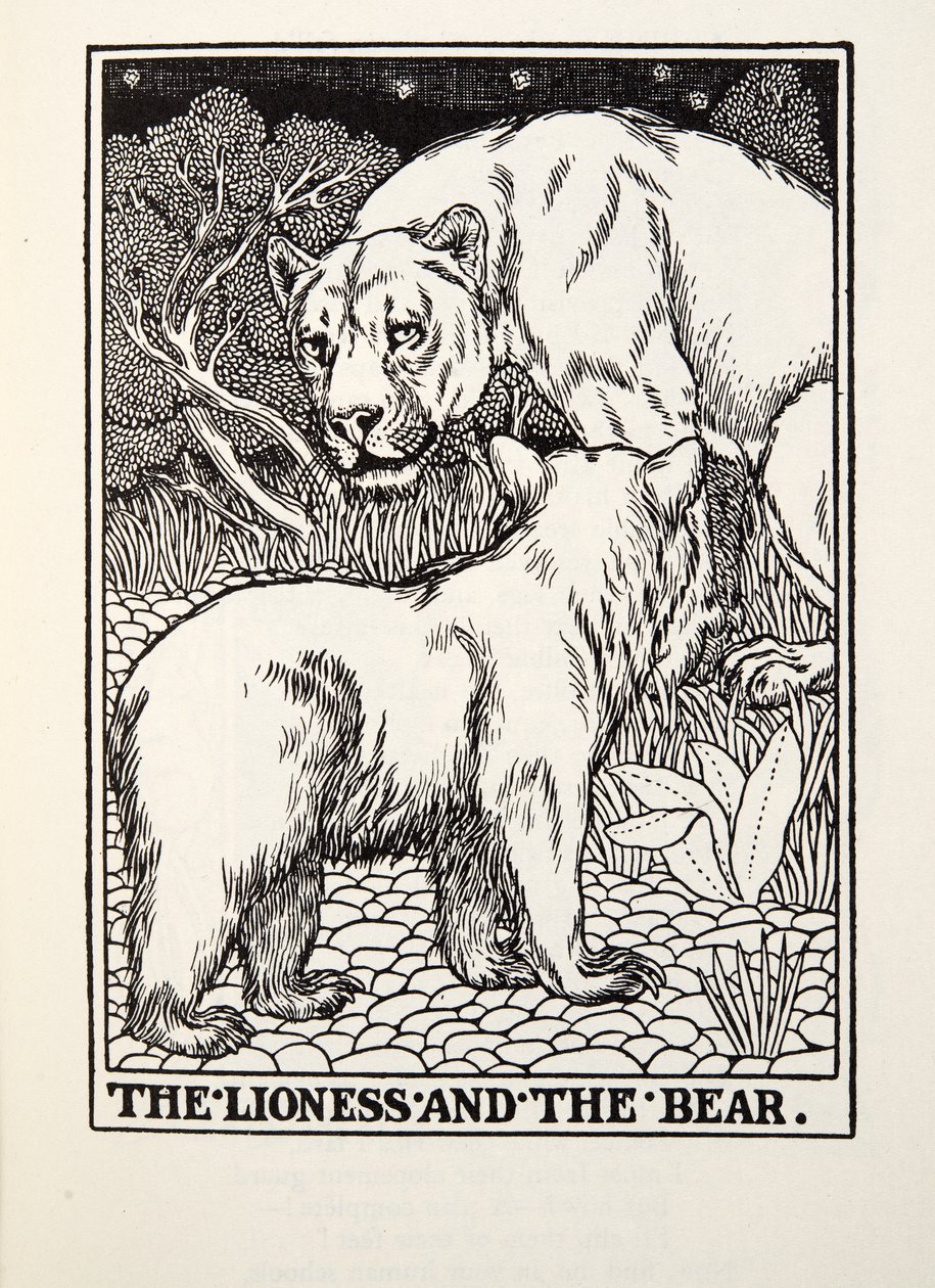 The Lioness and the Bear, fra Fontaine Fables, pub. 1905 av Percy J. Billingshurst