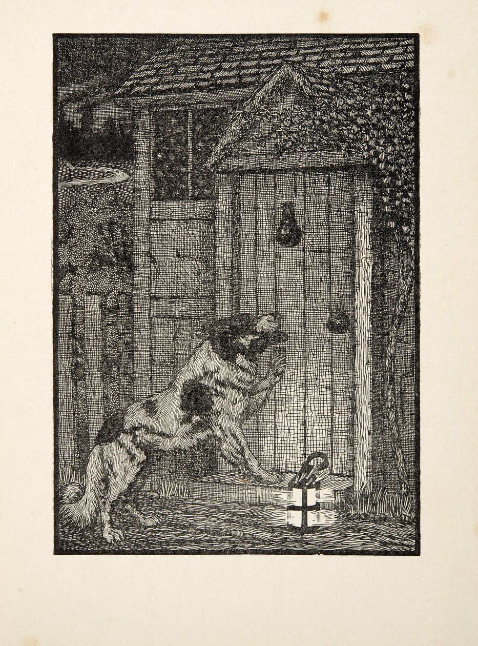 The Newfoundland Dog, fra A Hundred Anecdotes of Animals, pub. 1924 av Percy J. Billingshurst