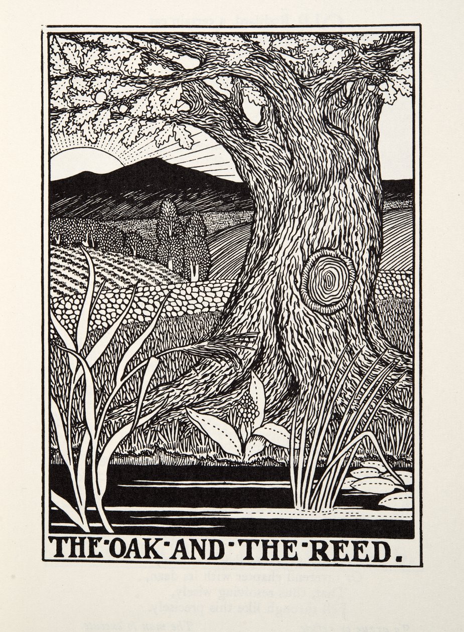 The Oak and the Reed, fra Fontaine Fables, pub. 1905 av Percy J. Billingshurst
