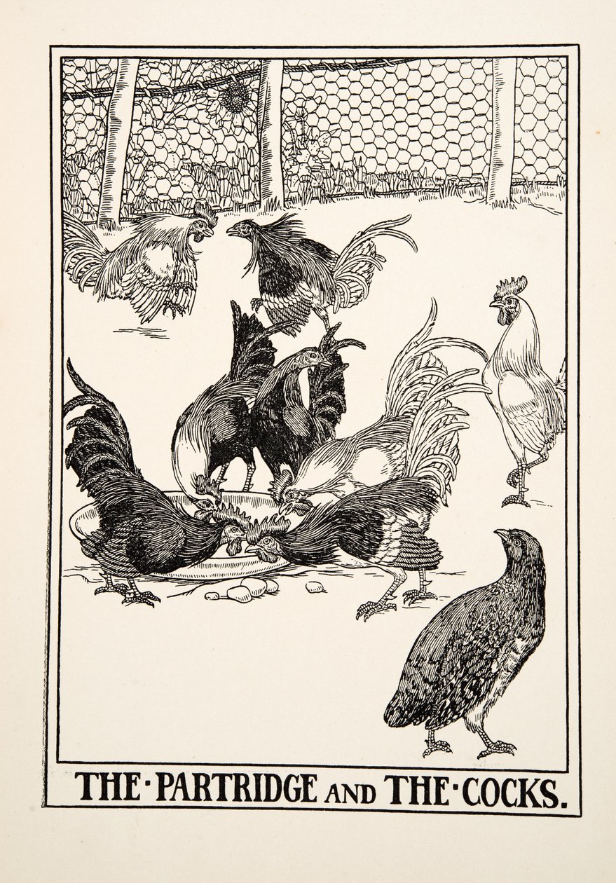 The Partridge and the Cocks, fra A Hundred Fables of Aesop, pub.1903 av Percy J. Billingshurst