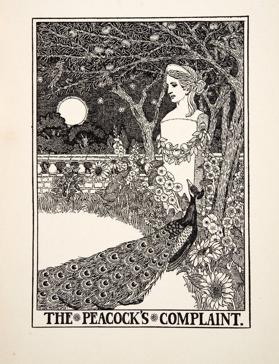 The Peacocks Complaint, fra A Hundred Fables of Aesop, pub.1903 av Percy J. Billingshurst