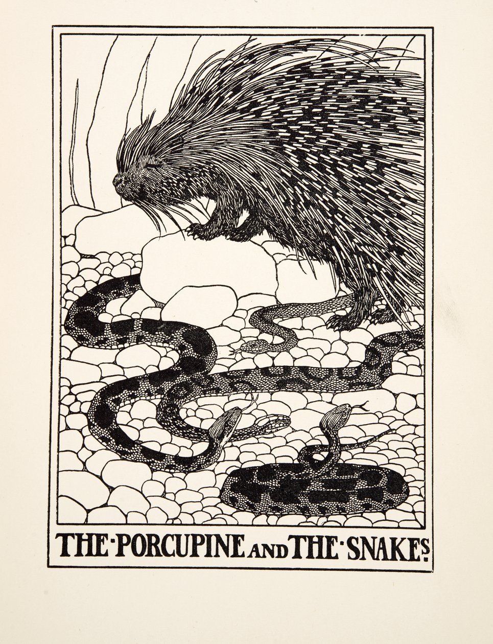 The Porcupine and the Snakes, fra A Hundred Fables of Aesop, pub.1903 (gravering) av Percy J. Billingshurst