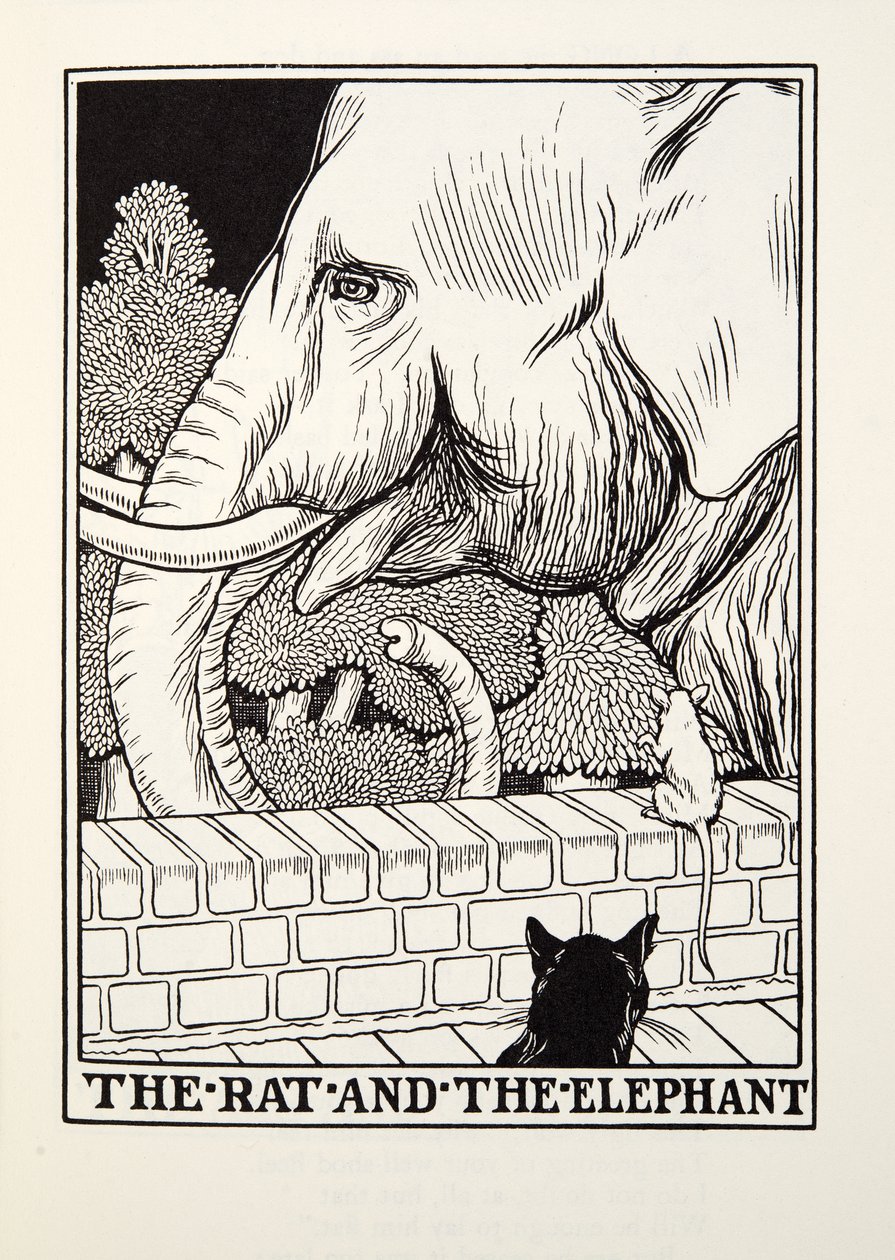 The Rat and the Elephant, fra Fontaine Fables, pub. 1905 av Percy J. Billingshurst