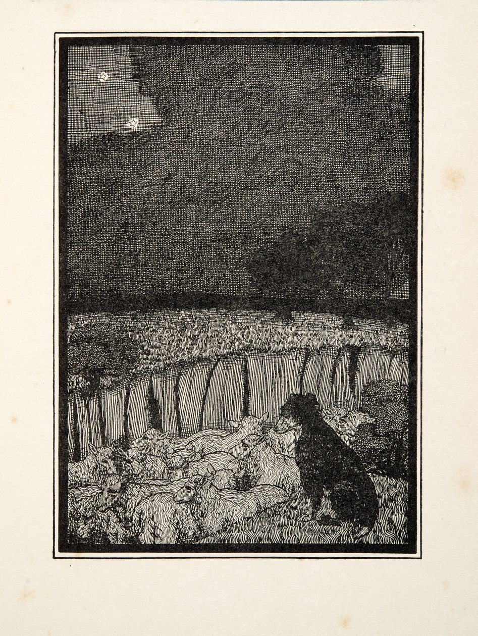 Shepherds Dog, fra A Hundred Anecdotes of Animals, pub. 1924 av Percy J. Billingshurst