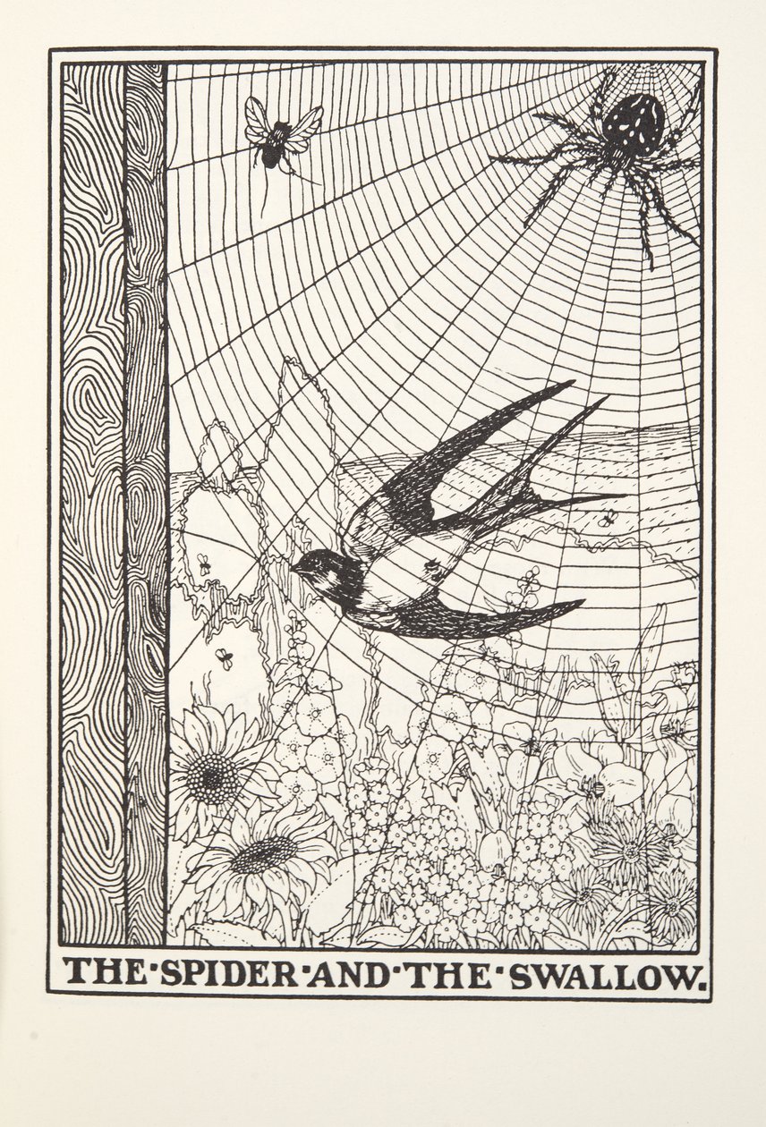 The Spider and the Swallow, fra Fontaine Fables, pub. 1905 av Percy J. Billingshurst