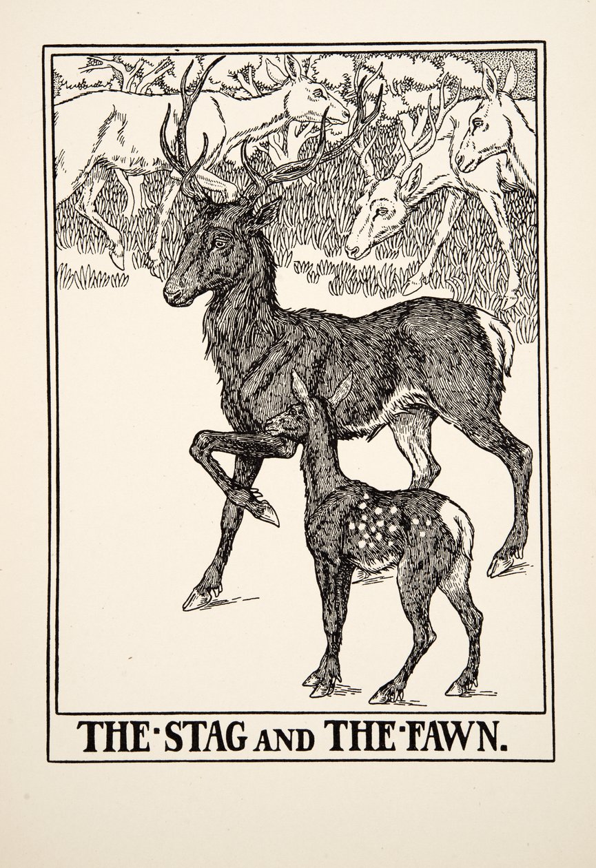 The Stag and the Fawn, fra A Hundred Fables of Aesop, pub.1903 av Percy J. Billingshurst