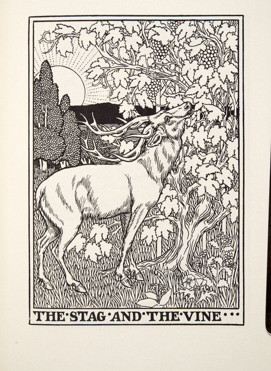 The Stag and the Vine, fra Fontaine Fables, pub. 1905 av Percy J. Billingshurst