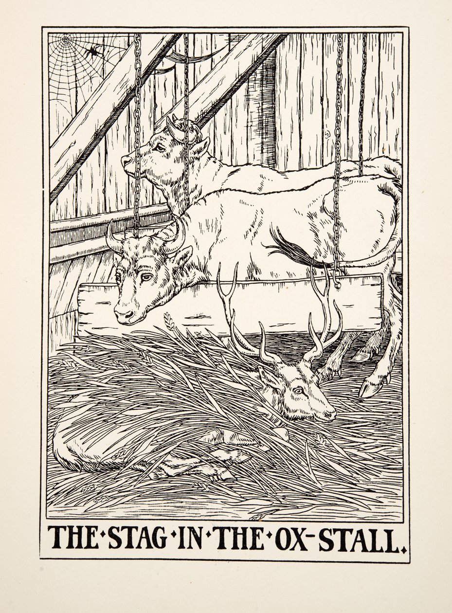 The Stag in the Ox Stall, fra A Hundred Fables of Aesop, pub.1903 (gravering) av Percy J. Billingshurst