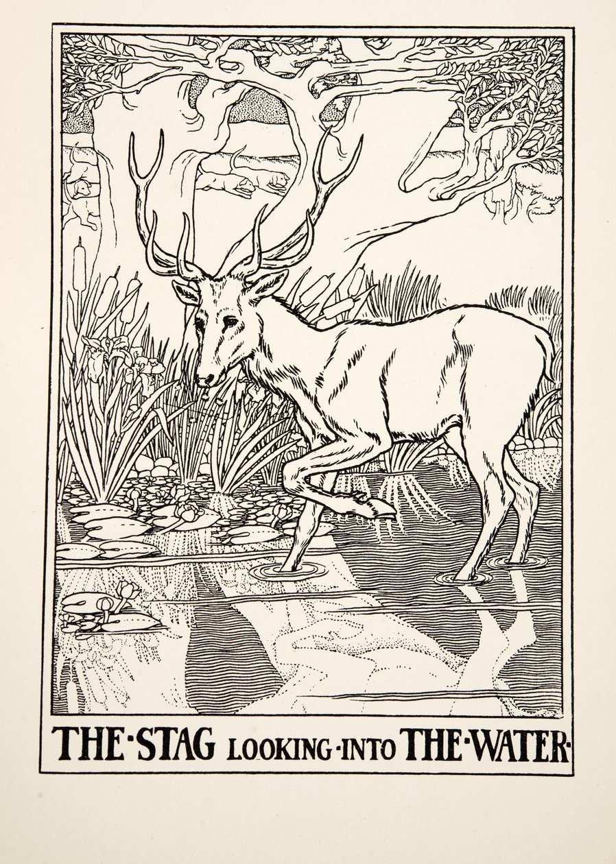 The Stag looking into the Water, fra A Hundred Fables of Aesop, pub.1903 (gravering) av Percy J. Billingshurst