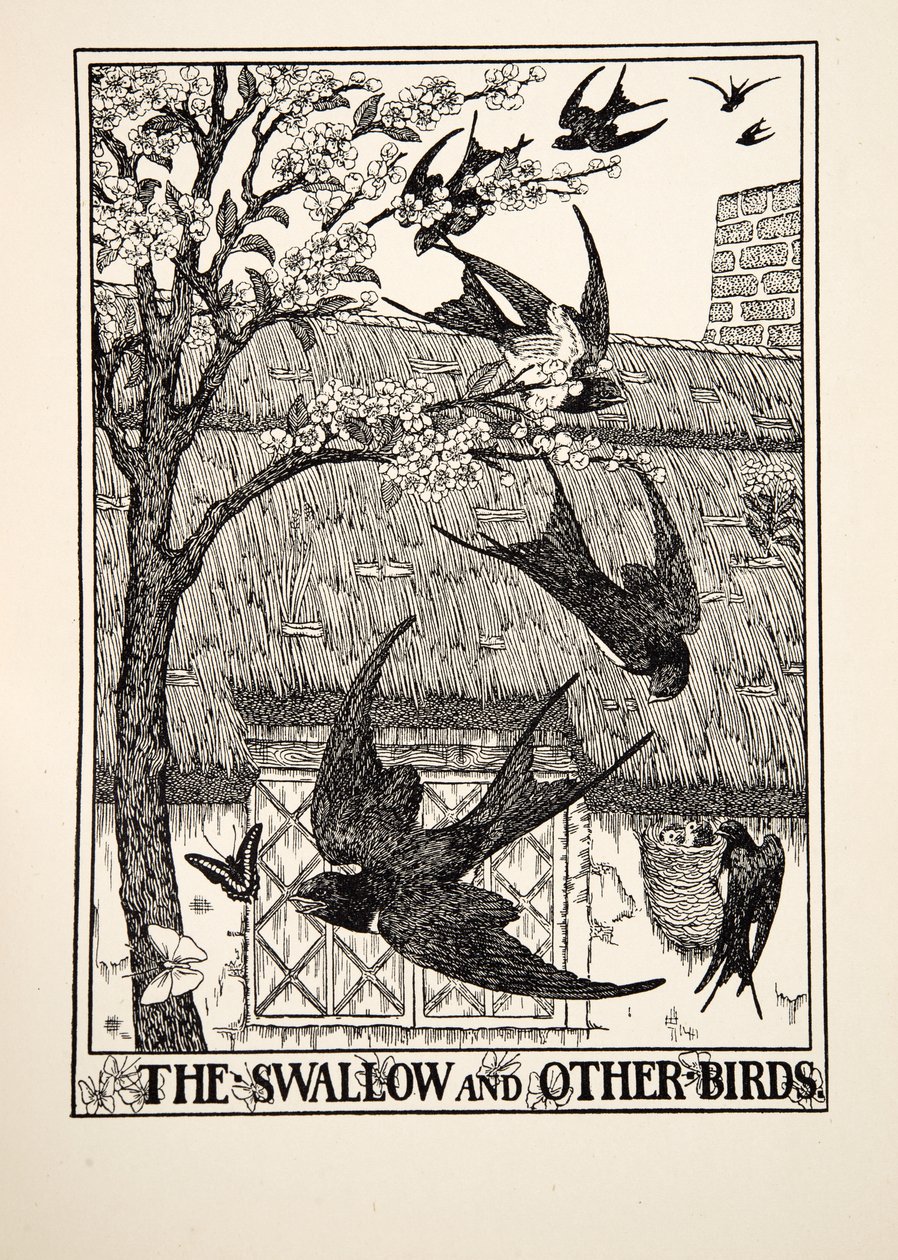 The Swallow and Other Birds, fra A Hundred Fables of Aesop, pub.1903 av Percy J. Billingshurst