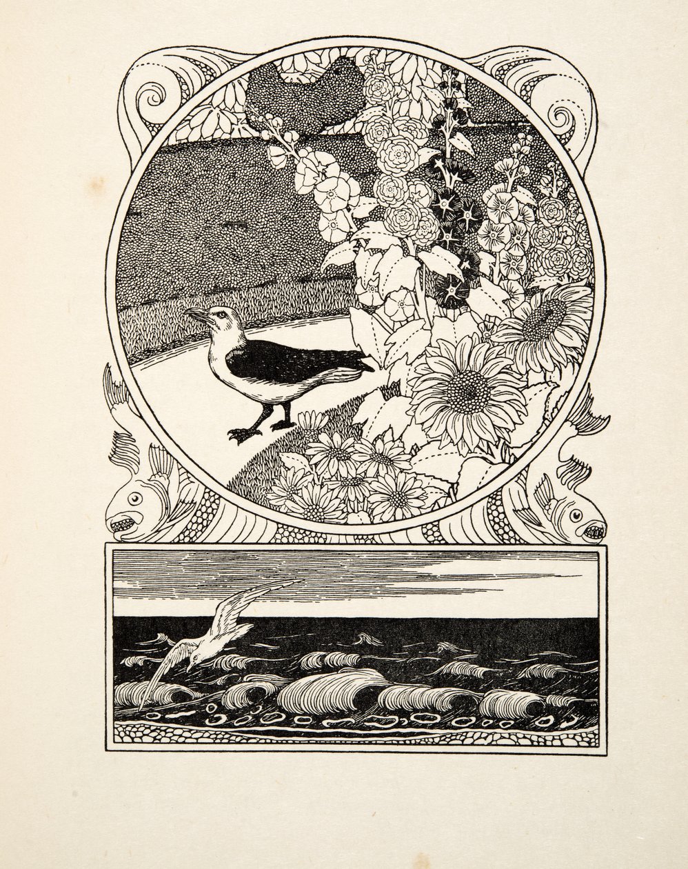 The Tame Seagull, fra A Hundred Anecdotes of Animals, pub. 1924 (gravering) av Percy J. Billingshurst