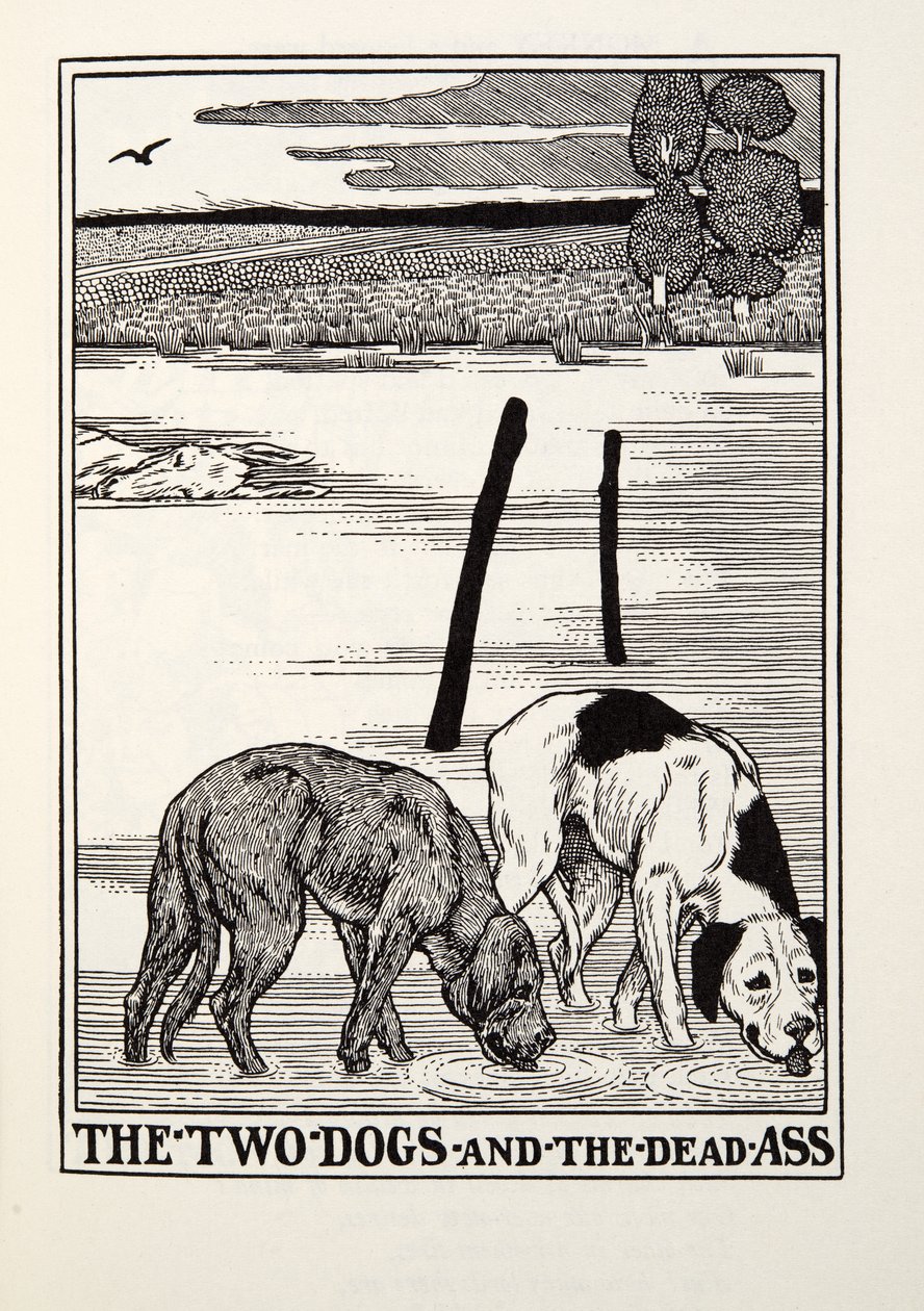 The Two Dogs and the Dead Ass, fra Fontaine Fables, pub. 1905 av Percy J. Billingshurst
