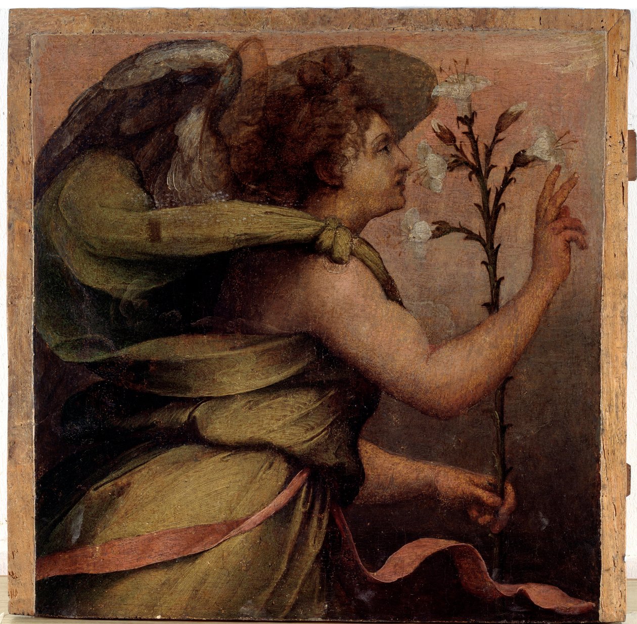 Bebudelsens engel, detalj (olje på tre, ca. 1535) av Perino del Vaga