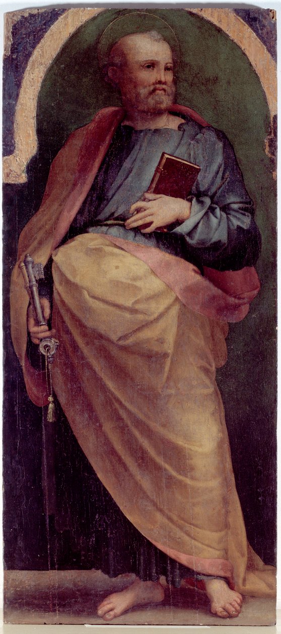 St Peter, sidepanel (olje på tre, ca. 1535) av Perino del Vaga