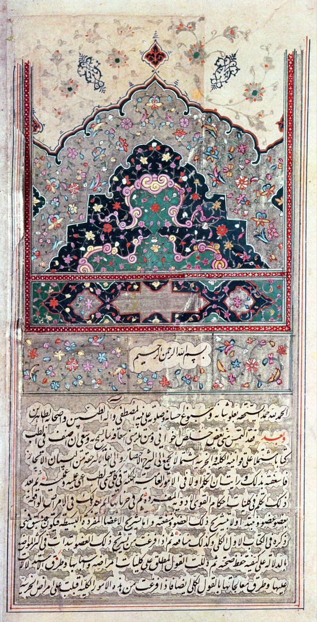 Side fra medisinkanonen av Avicenna (Ibn Sina) 1632 av Persian School
