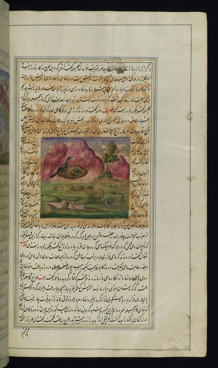 En slange og en kråkeunger fra Lights of Canopus av Persian School