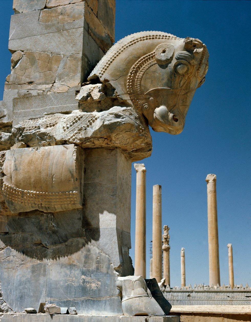 Achaemenid okseformet hovedstad av søyle, 6. århundre f.Kr av Persian School
