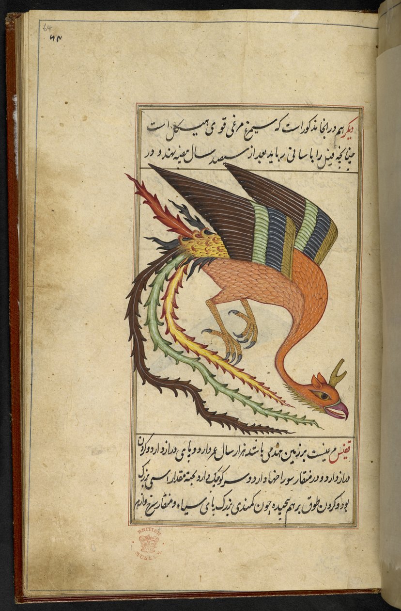 Legg til MS 15241 f.64r Simurgh, en iransk tordenfugl, fra 