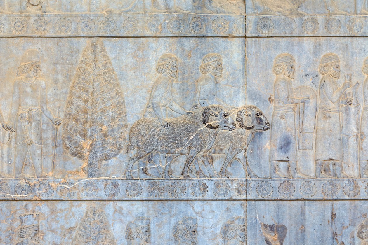 Basrelieffer ved veggene til Apadana-palasset og trappen, Persepolis, Iran (sandstein) av Persian School