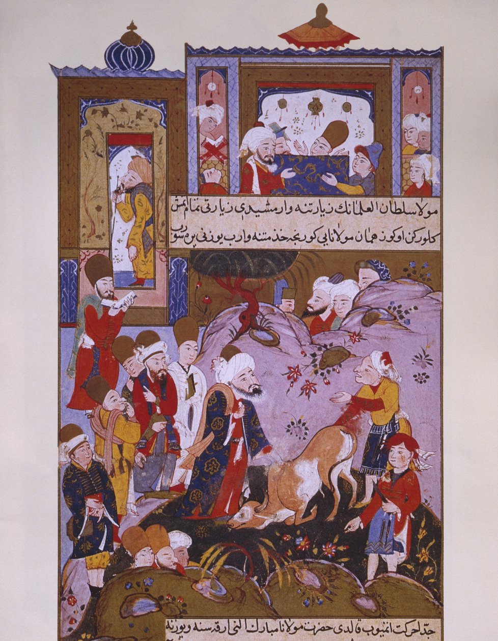 Oksen hyller Rumi, sent på 1500-tallet av Persian School