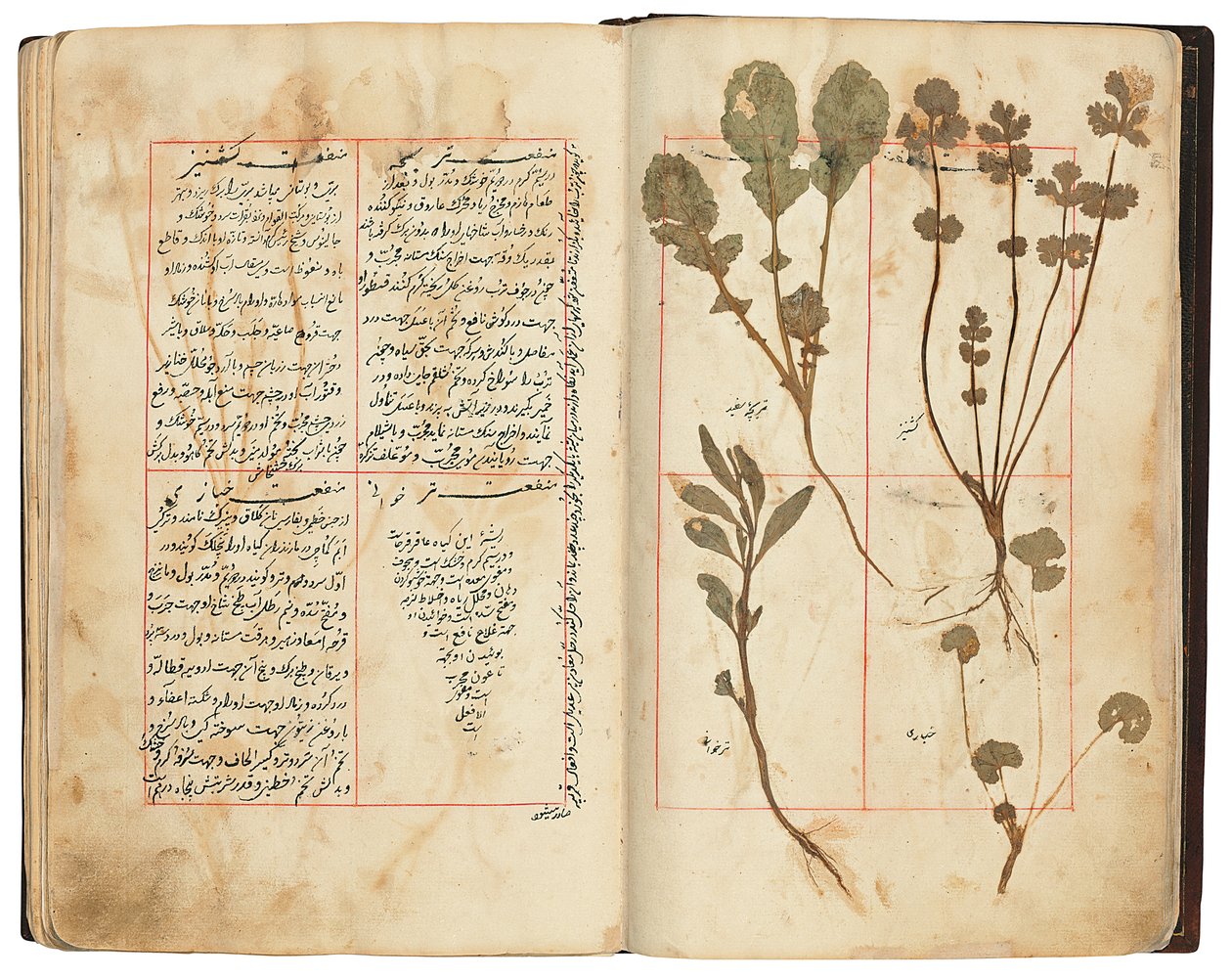 Hassan Bin Baqir Bin Jarrah: Ghalzar Al-Raihain, Qajar Iran av Persian School