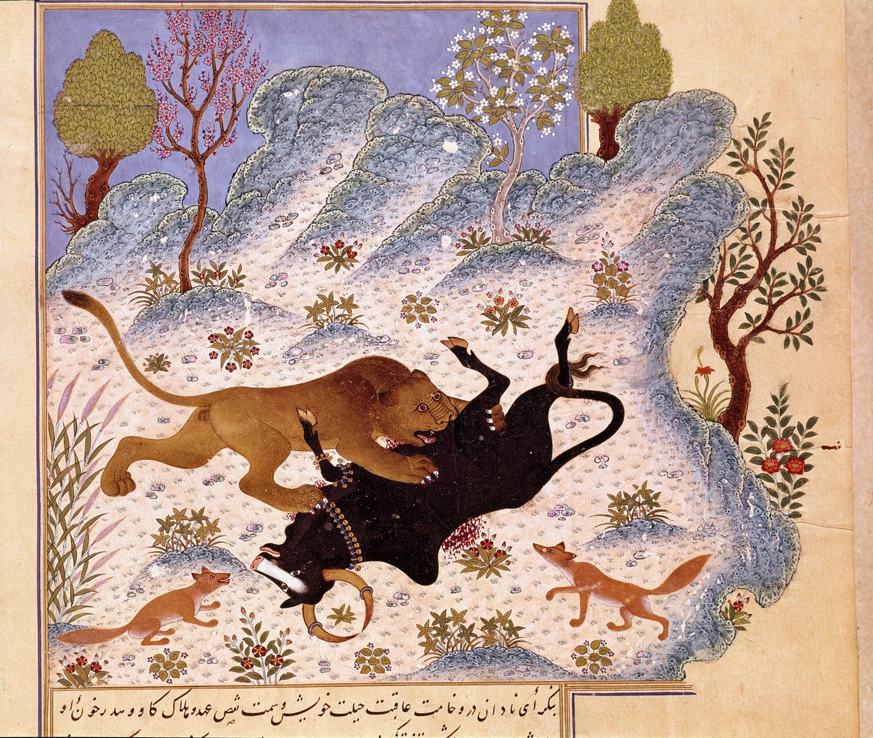 Løve angriper en okse Page of a Kalila og Dimna av Persian School